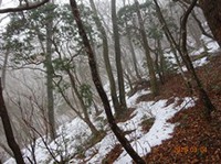 ★越前岳は雲の中★