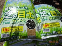 ★M様邸・お庭の手入れ★