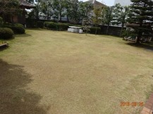 ★M様邸・お庭の手入れ★