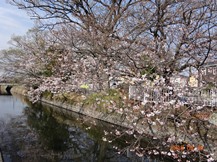 ★M様邸・お庭の手入れ★