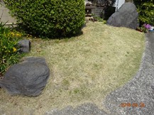 ★OK様邸・お庭の手入れ★