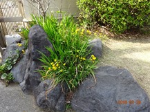 ★OK様邸・お庭の手入れ★