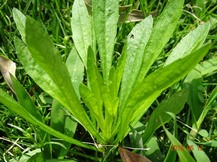 ★M様邸・芝生の管理★