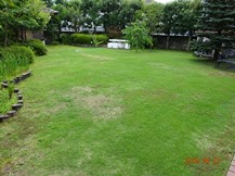 ★納得出来た芝生の管理★