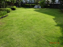 ★納得出来た芝生の管理★