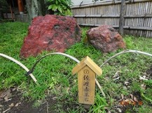 清澄庭園②・名石・灯ろう｡