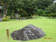 清澄庭園②・名石・灯ろう｡