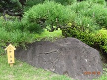 清澄庭園②・名石・灯ろう｡