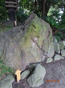 清澄庭園②・名石・灯ろう｡