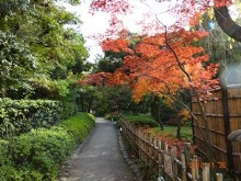 新宿区・甘泉園公園