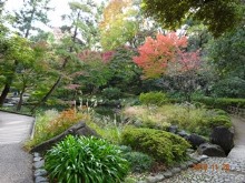 新宿区・甘泉園公園