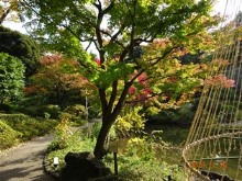 新宿区・甘泉園公園