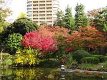 新宿区・甘泉園公園