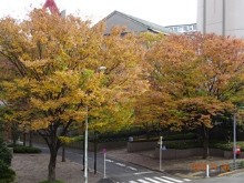 新宿区・甘泉園公園