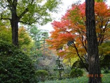 新宿区・甘泉園公園