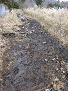 1月2日・越前岳に登る