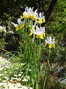 ★城ヶ崎海岸②★