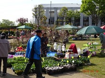 ★2019年･緑と花の百科展★