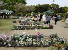 ★2019年･緑と花の百科展★