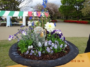 ★2019年･緑と花の百科展★