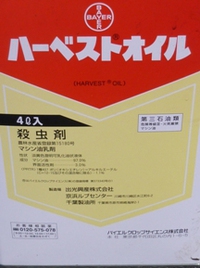 ★マシン油乳剤の散布★ 2015/02/02 21:36:00