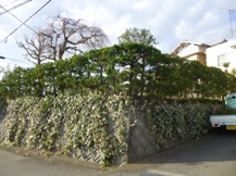 ★Ａ様邸・お庭の手入れ②★