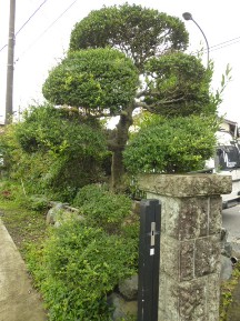 ★Ｈ様邸・お庭の手入れ★