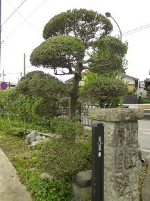 ★Ｈ様邸・お庭の手入れ★