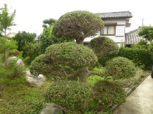 ★Ｈ様邸・お庭の手入れ★