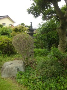 ★Ｈ様邸・お庭の手入れ★