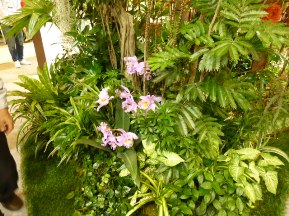 ★国際ガーデンＥＸＰＯ②★