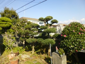 ★Ｓ様邸・お庭の手入れ★