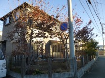 ★コナラのお庭の手入れ★