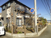 ★コナラのお庭の手入れ★