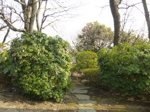 伊豆東海岸で庭の手入れ③