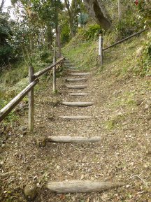 ★桜のお山の手入れ★