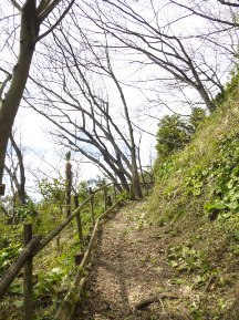 ★桜のお山の手入れ②★