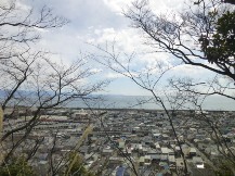 ★桜のお山の手入れ②★