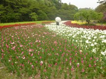 ★浜名湖「花博」①★