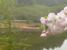 ★浜名湖「花博」①★
