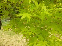 ★浜名湖「花博」①★