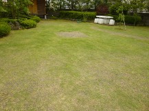 ★お庭の手入れ・年間管理★