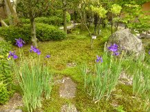 ★お庭の手入れ・年間管理★
