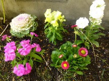 ★お花の植裁と高圧洗浄★