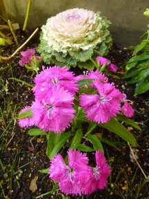 ★お花の植裁と高圧洗浄★