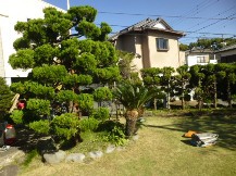 ★Ａ様邸・お庭の手入れ②★