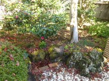 ★Ｍ様邸・落ち葉の清掃★