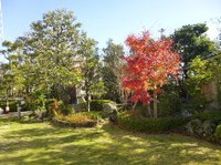 ★Ｍ様邸・落ち葉の清掃★