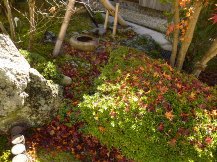 ★Ｍ様邸・落ち葉の清掃★