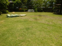 ★芝の管理・試行錯誤★